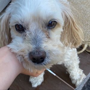 Meet your Posher, Lo